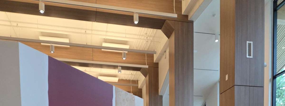 Guided Exhibit Tours