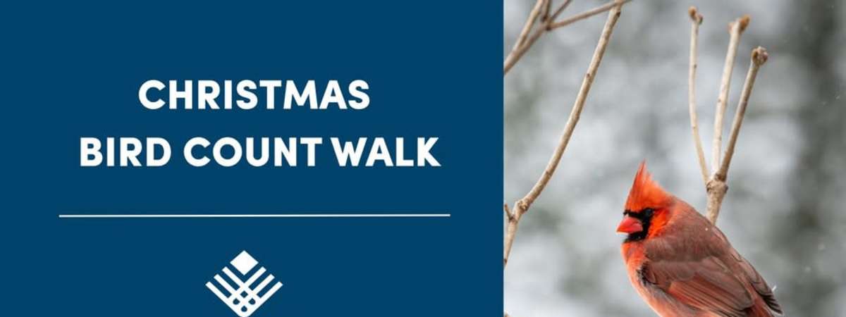 Christmas Bird Count Walk