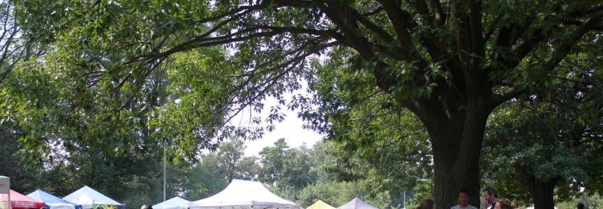 Islands in the Park: A Caribbean Jam