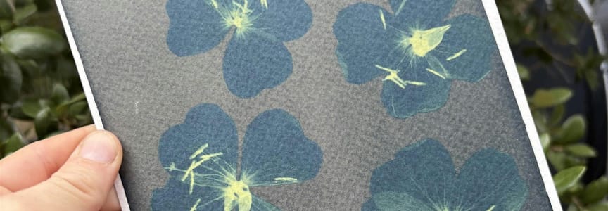 Art for the Pigs! Cyanotype Printing Workshop