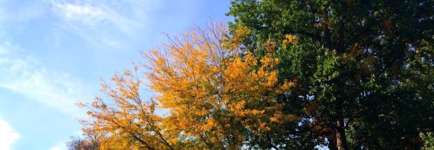 Noblesville Weekly Walk | BFF Indy Women’s Walk Club