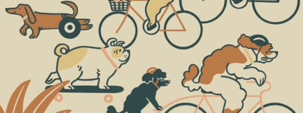 Dogon' Bike Ride