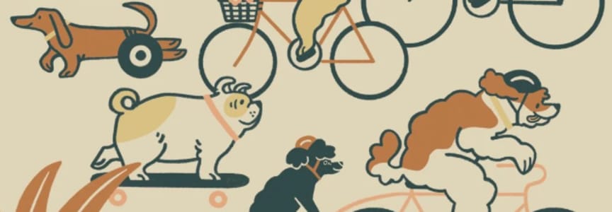 Dogon' Bike Ride