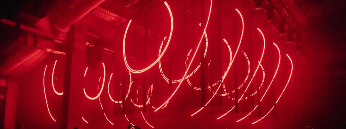 DJ Night — Rene Wise
