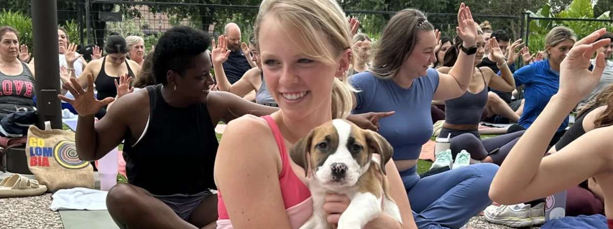 Puppies on the Plaza