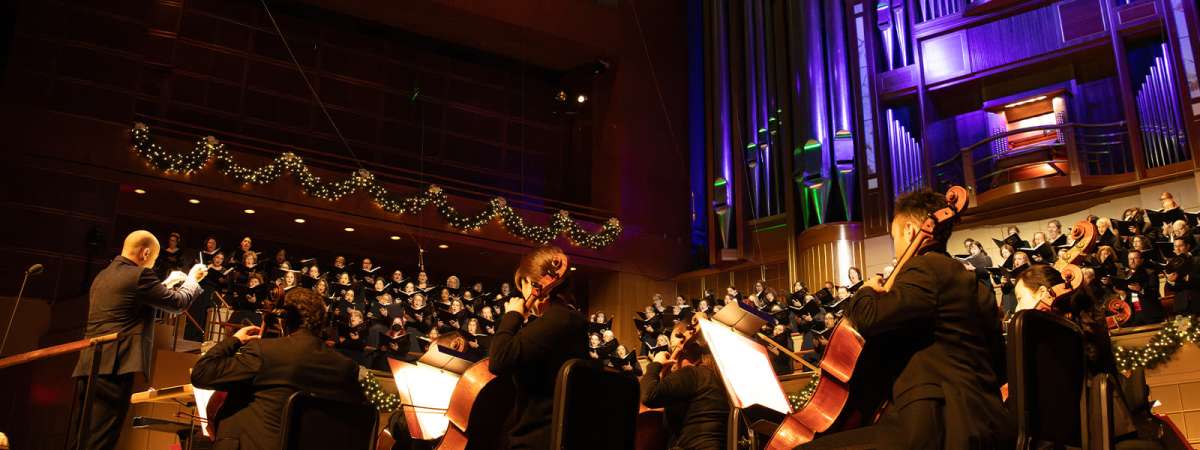 Holidays with the DSO
