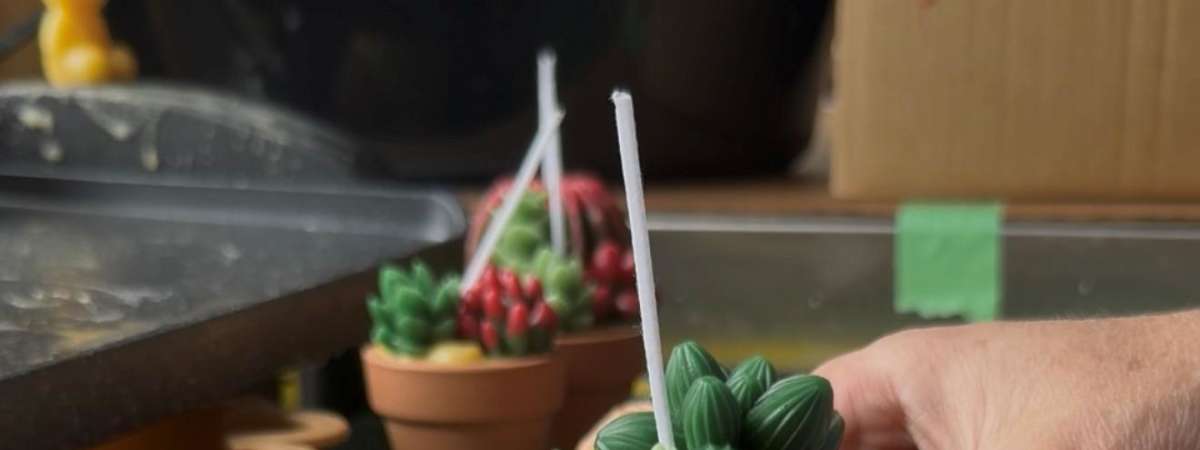 Honeybee 101 - Beeswax Creations: Succulent Candles