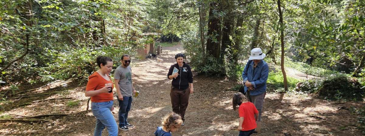 Family Nature Adventures: Owls