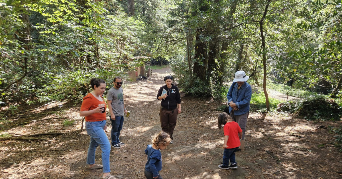 Family Nature Adventures: Owls