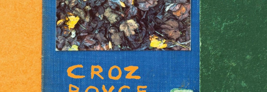 Croz Boyce [Avey Tare and Geologist of Animal Collective], Masaaki