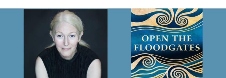 Nina Schuyler - Open the Floodgates