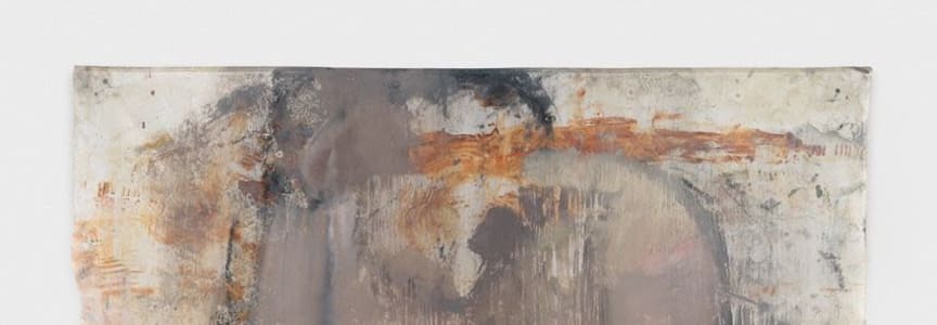 Ser Serpas en Contemporary Art Gallery