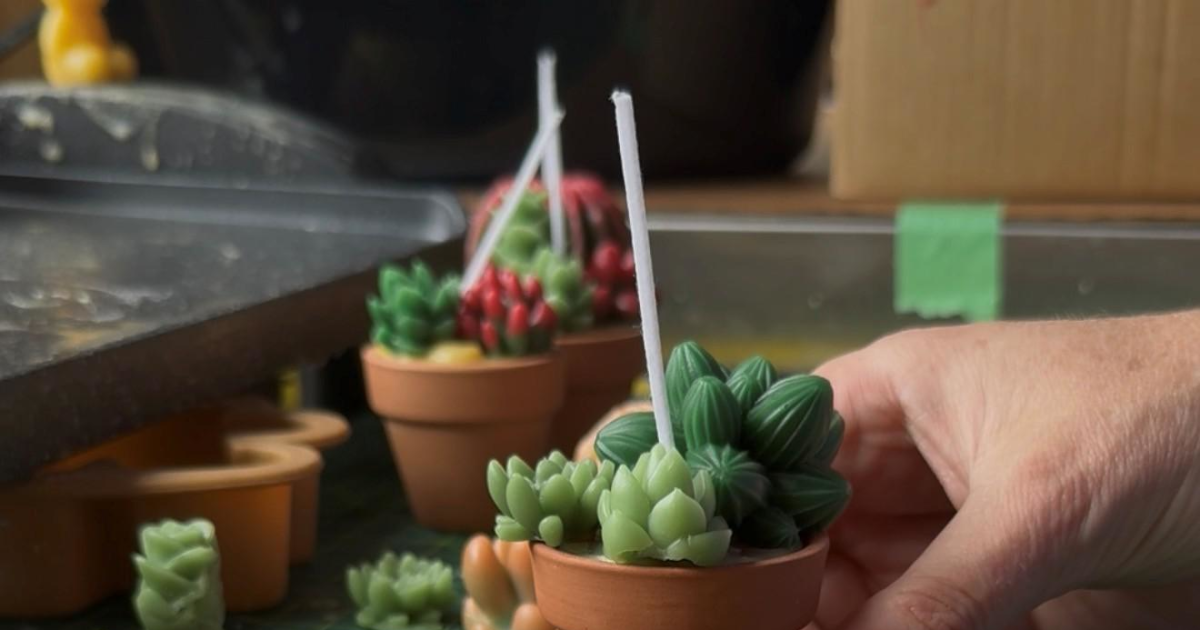 Honeybee 101 - Beeswax Creations: Succulent Candles