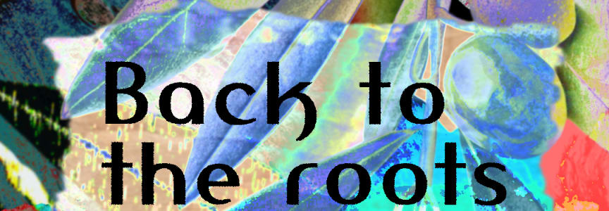 Back to the Roots: A community performance fundraiser for Palestine