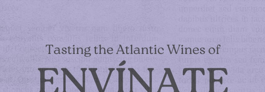 Tasting: Envinate [Canary Islands + Spain]