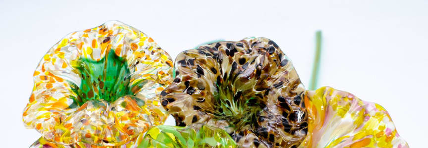 Deeper colors for Fall Flowers creating a fun Day; get warmed up with GAI!