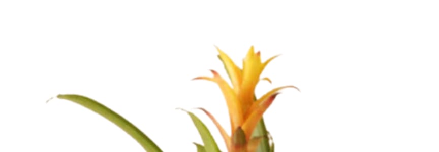 Seconds Sale at Fountain Square Clay Center