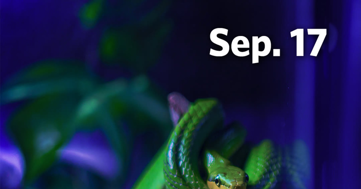 NightLife: September 17