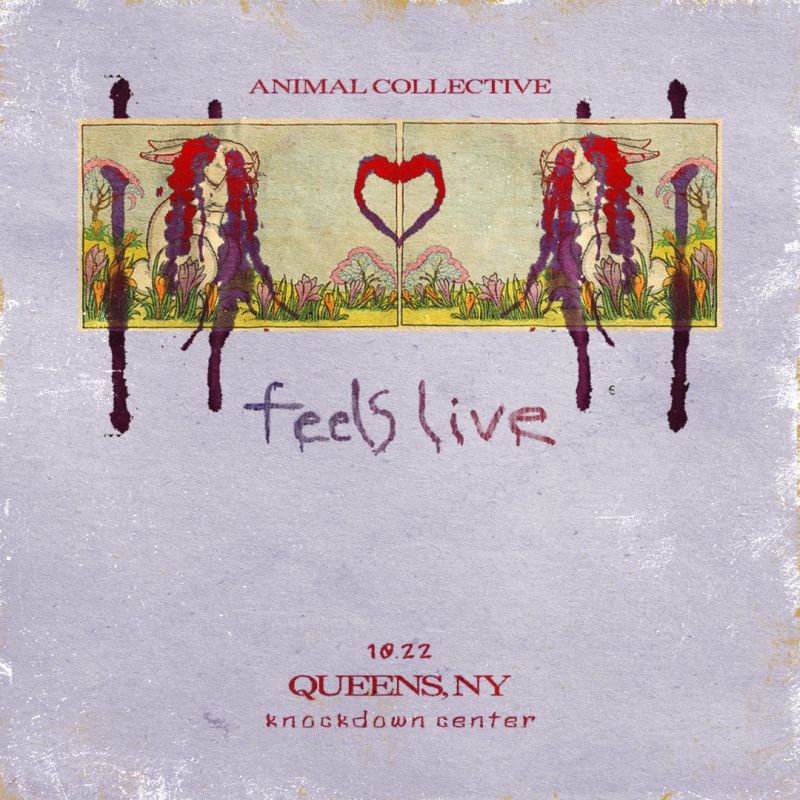 Animal Collective Performs Feels Live