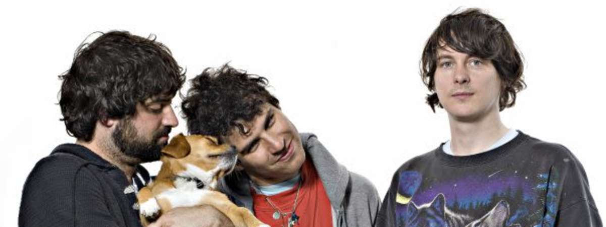 Animal Collective Performs Feels Live
