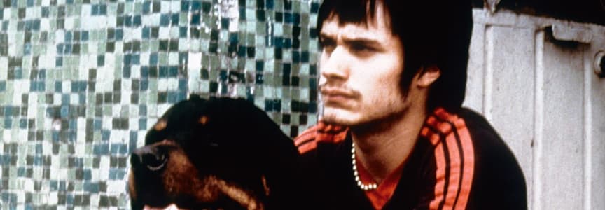 Amores Perros (4K Restoration)