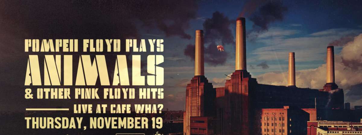 Pompeii Floyd Plays ANIMALS and Other Pink Floyd Hits