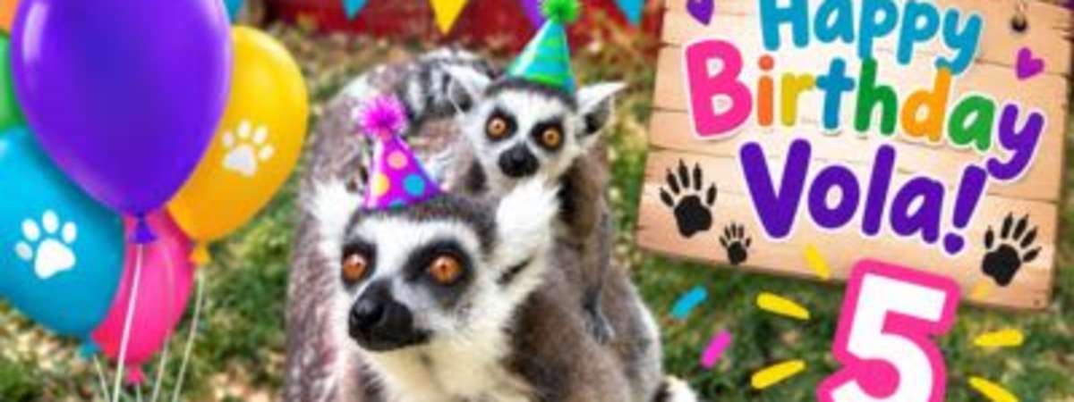 Lady Vola's 5th Birthday Celebration