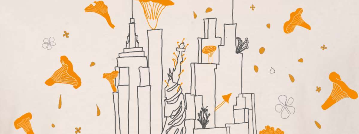 NYC Fungus Festival 2026