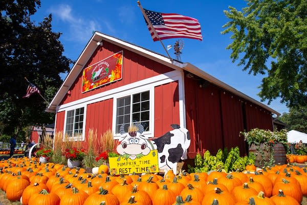 Sonny Acres Farm