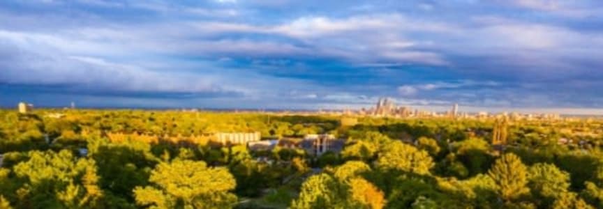 Celebrate Hawkfest at the Museum