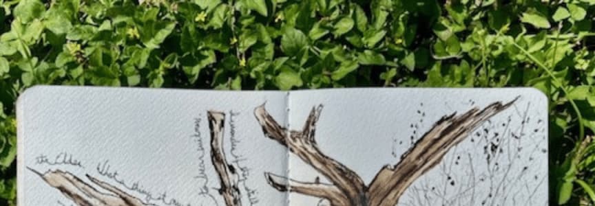 Nature Journaling