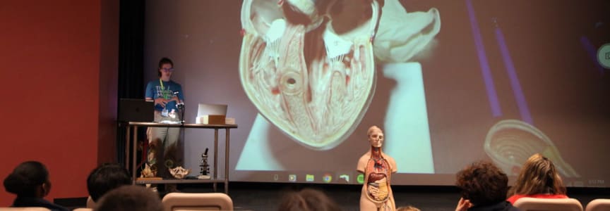 Live Organ Dissection Demonstrations