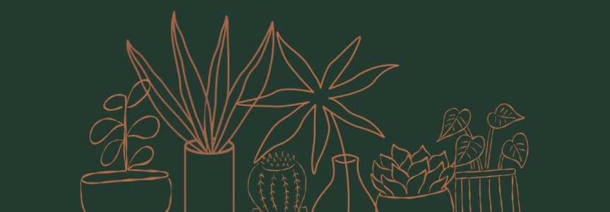 Plant Bingo