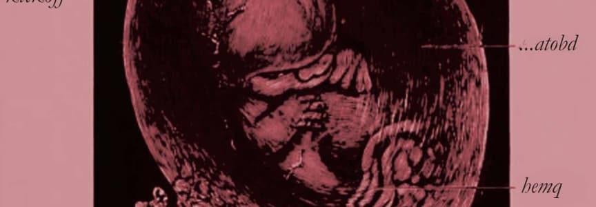 ...And The Ocean Bled Dry // Hemq // Forced Out Shut In // Sofia Silueta // Nayotic // JVR // V.S. // Postule
