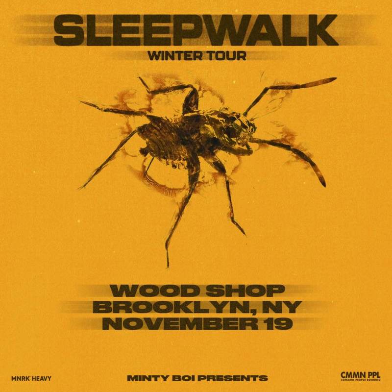 Sleepwalk