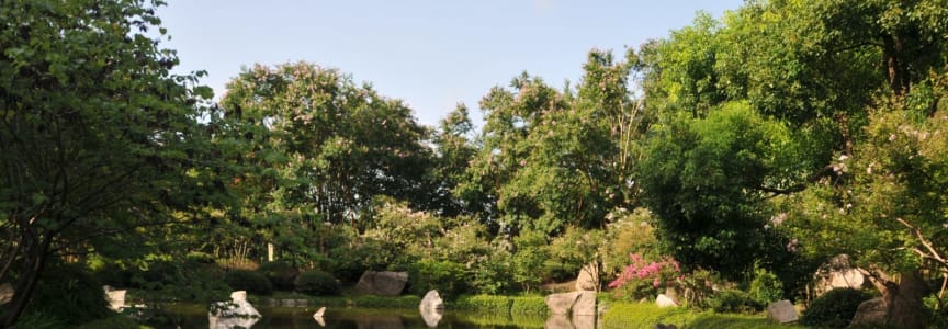 Japanese Garden Volunteer Day