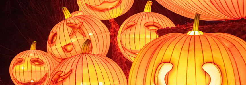 Zoo Boo Member Preview