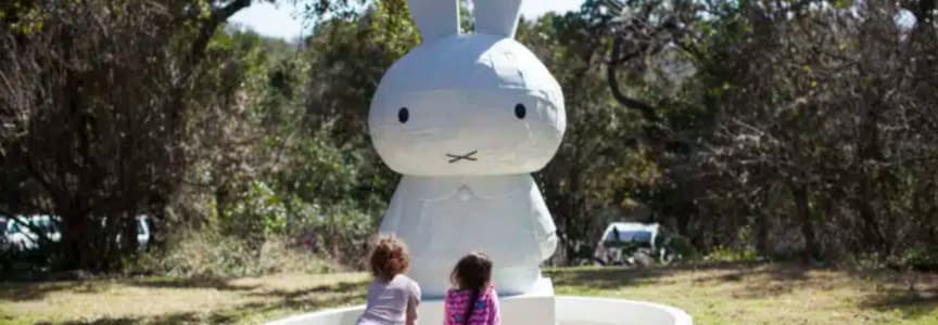 Austin Museum Day