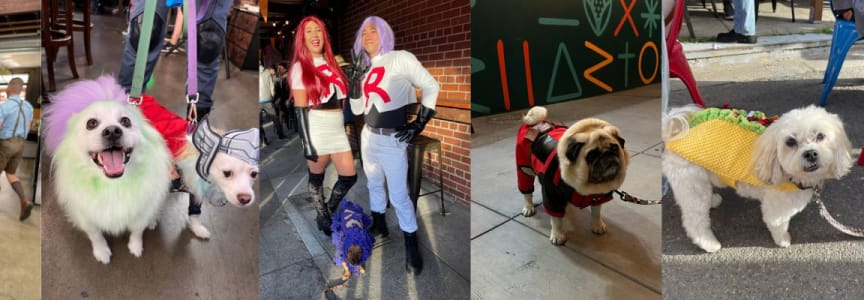 Jack O' London Pup Crawl: Halloween Edition
