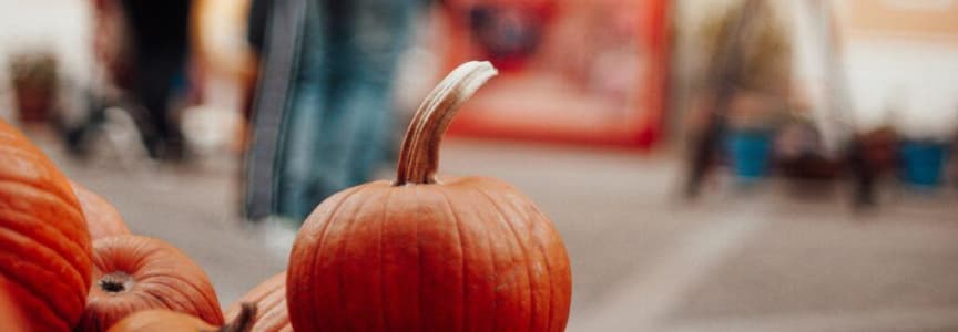 Manayunk Fall Fest