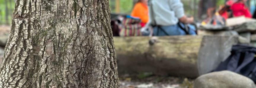 Monster Eyeball Scavenger Hunt
