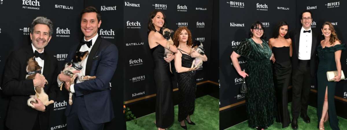 Fetch Pet Gala