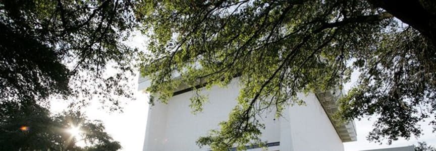 Austin Museum Day