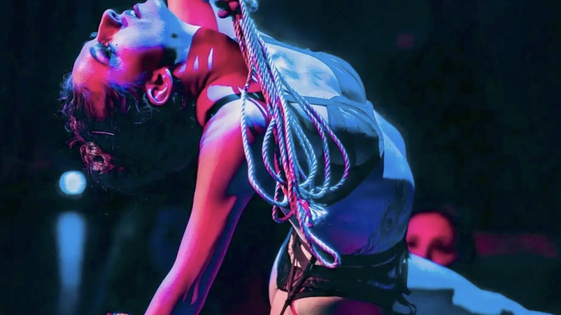 Shibari & Strings: Through the Looking Glass