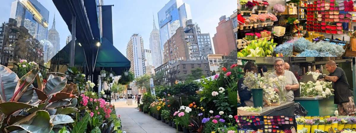 The Secret World of Flowers: Behind-the-Scenes NYC Floral District Tour