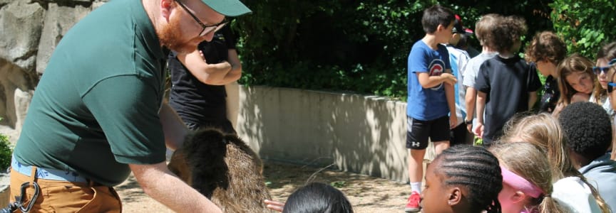 Zoo Explorers