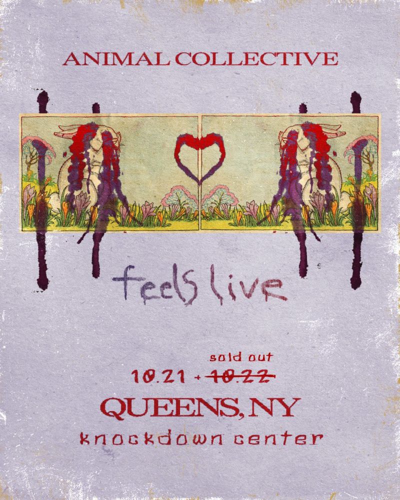 Animal Collective Performs Feels Live