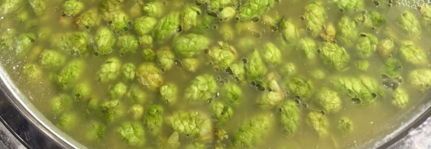 West Coast Wet Hop Harvest Fest