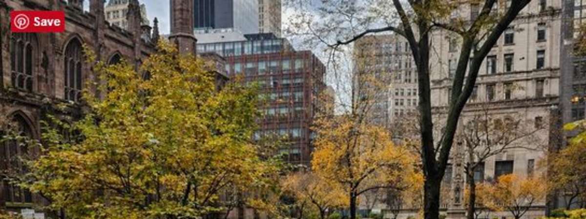 Death in New York: Extended Daylight Tour