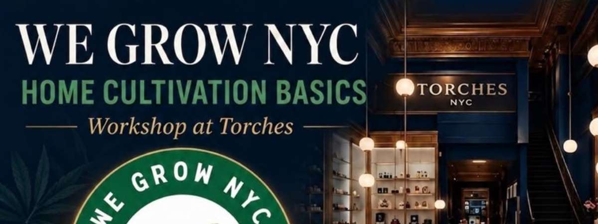 Home Cultivation Basics: Learn to Grow!